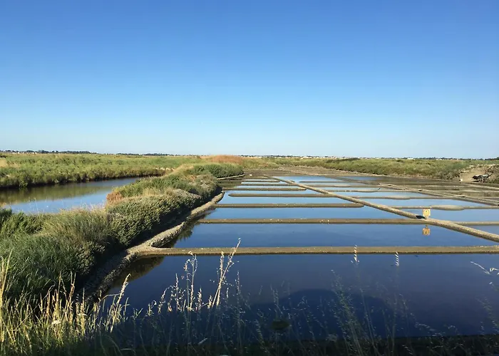 Feriehus Maison De Paludier Dans Hameau De Charme Guérande