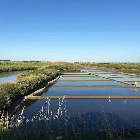 度假居 Maison De Paludier Dans Hameau De Charme 盖朗德