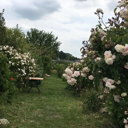 Maison De Paludier Dans Hameau De Charme * 盖朗德