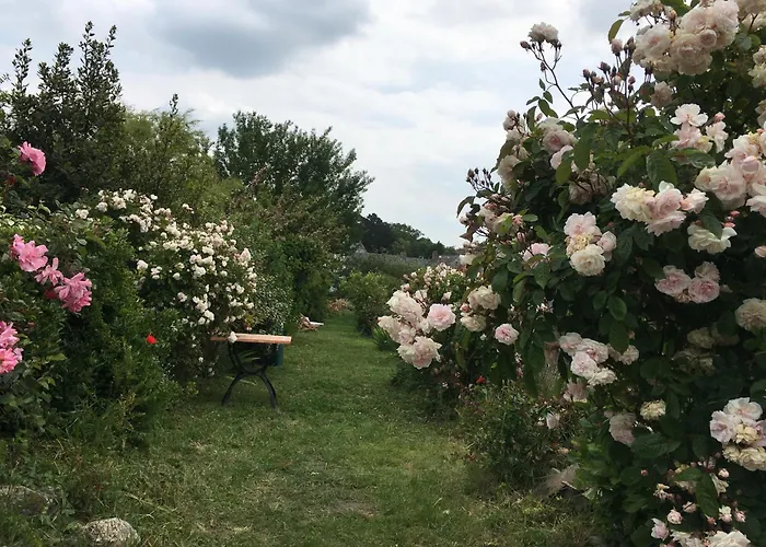 Maison De Paludier Dans Hameau De Charme * 盖朗德